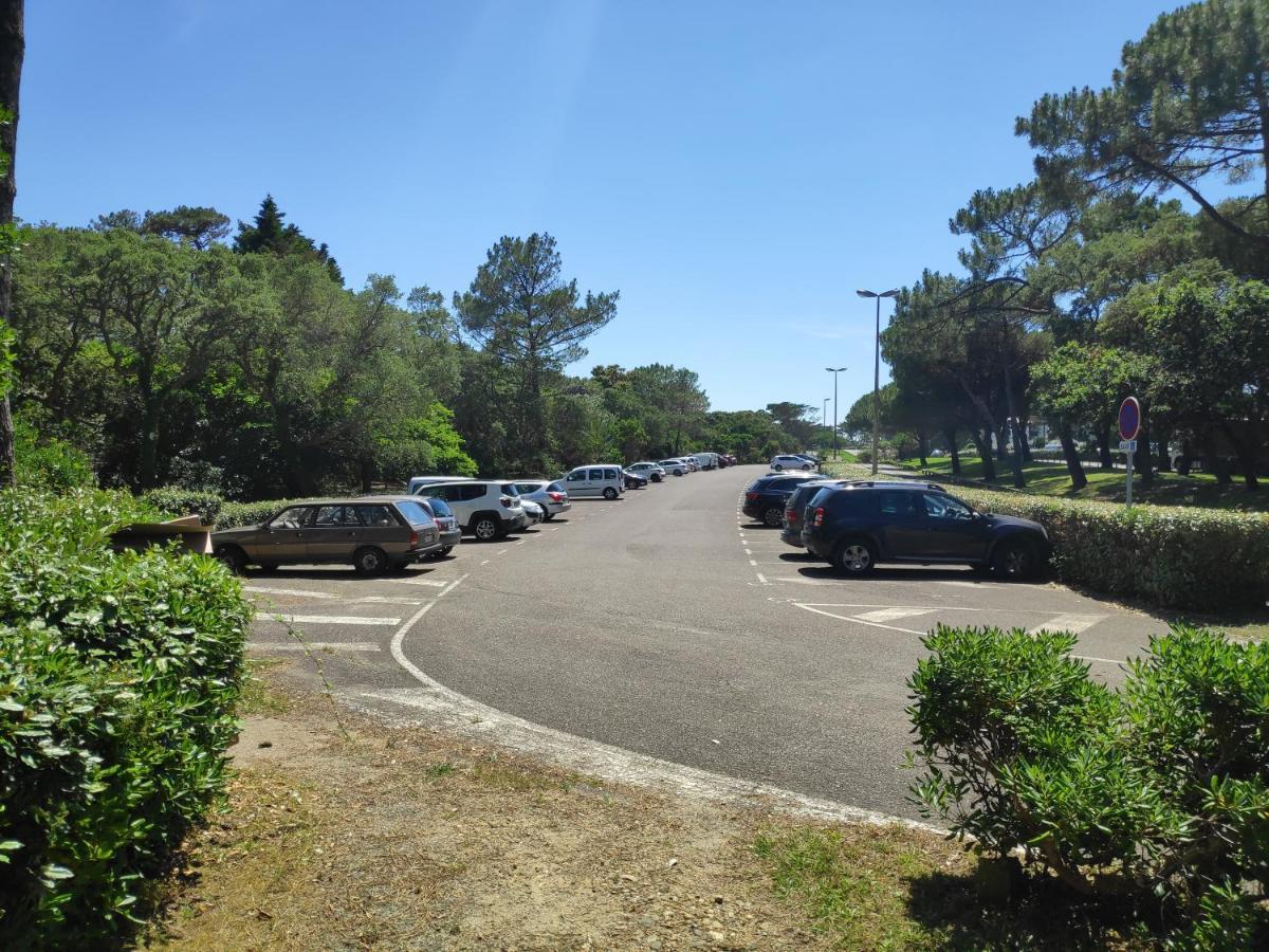Appt Seignosse Le Penon - Plages Commerces A Pied 외부 사진